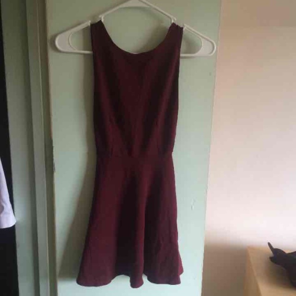 American apparel ponte skater dress